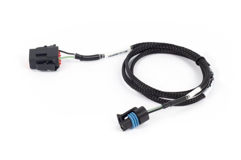 Haltech NEXUS Rebel LS T56 Transmission Harness | J-Spec Garage